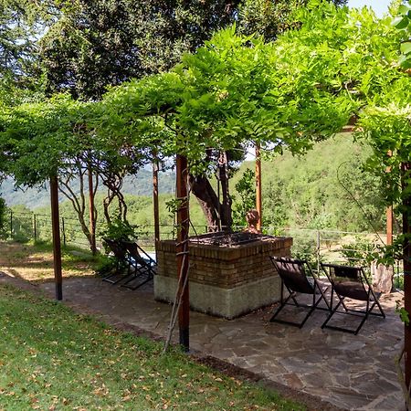 Lacelletta Country House Урбино Екстериор снимка